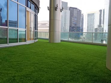 Artificial Grass Photos: Synthetic Grass Sequim, Washington Design Ideas, Commercial Landscape