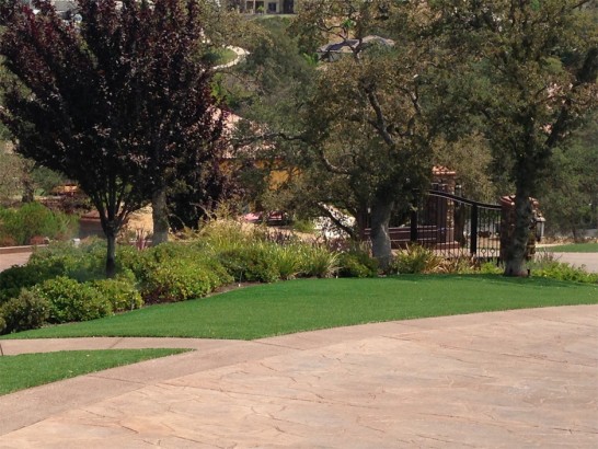 Artificial Grass Photos: Synthetic Grass Skykomish, Washington Lawns, Backyard Landscape Ideas