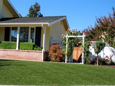 Artificial Grass Photos: Synthetic Grass White Swan, Washington Lawn And Landscape, Front Yard Design