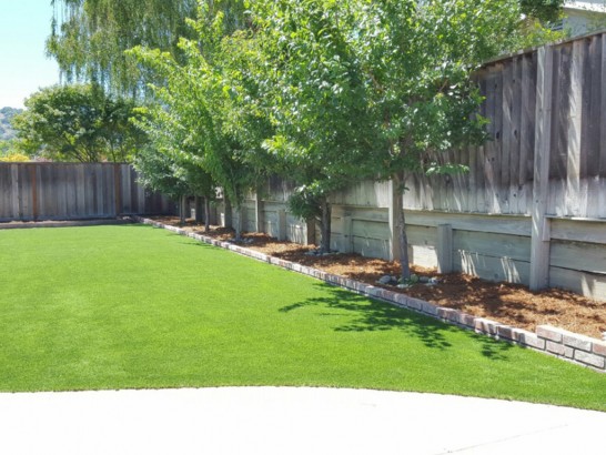 Synthetic Lawn Acme, Washington Gardeners, Backyard Designs artificial grass