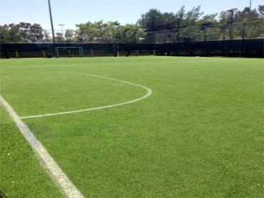 Artificial Grass Photos: Synthetic Lawn Black Diamond, Washington Softball