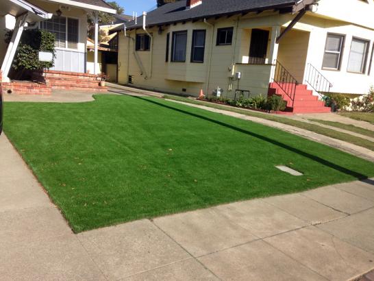 Artificial Grass Photos: Synthetic Lawn Chico, Washington Landscaping Business, Front Yard Landscaping Ideas