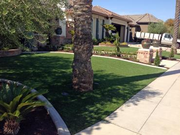 Artificial Grass Photos: Synthetic Lawn Fobes Hill, Washington Landscape Design, Front Yard Ideas