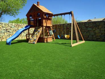 Artificial Grass Photos: Synthetic Lawn Geneva, Washington Backyard Deck Ideas, Backyard Design