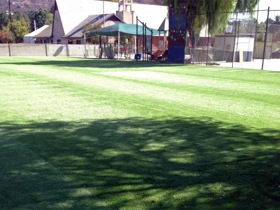 Artificial Grass Photos: Synthetic Lawn Kahlotus, Washington Rooftop, Parks