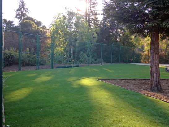 Artificial Grass Photos: Synthetic Lawn Kingston, Washington Landscape Design, Recreational Areas