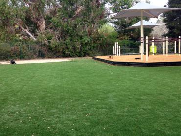 Artificial Grass Photos: Synthetic Lawn Lebam, Washington Indoor Playground