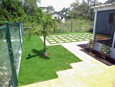 Artificial Grass Photos: Synthetic Lawn Meadowdale, Washington City Landscape, Backyard Landscaping