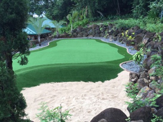 Artificial Grass Photos: Synthetic Lawn Packwood, Washington Putting Green Turf