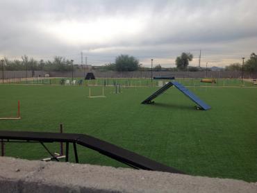 Artificial Grass Photos: Synthetic Lawn Queets, Washington Stadium, Recreational Areas