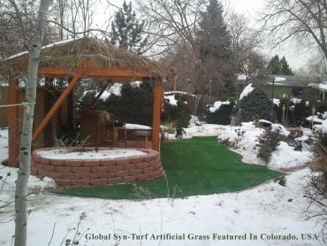 Synthetic Lawn Renton, Washington Landscape Photos, Backyard Garden Ideas artificial grass