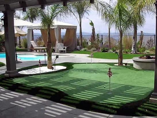 Artificial Grass Photos: Synthetic Lawn Sumner, Washington Backyard Playground, Backyard Makeover