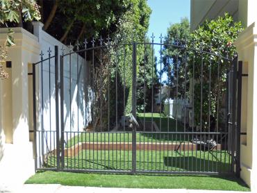 Artificial Grass Photos: Synthetic Lawn Vader, Washington Home And Garden, Front Yard Design
