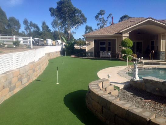 Artificial Grass Photos: Synthetic Lawn Vashon, Washington Landscaping, Beautiful Backyards