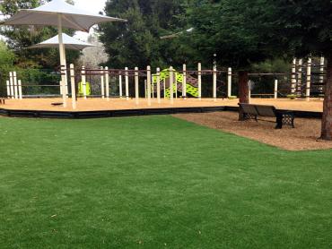 Artificial Grass Photos: Synthetic Lawn Westport, Washington Playground Safety, Small Backyard Ideas