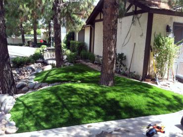 Artificial Grass Photos: Synthetic Turf Burley, Washington, Front Yard Design