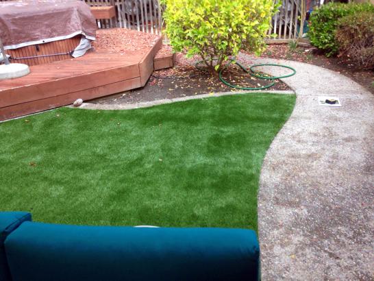 Artificial Grass Photos: Synthetic Turf Canterwood, Washington Backyard Deck Ideas, Backyard Garden Ideas