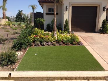 Artificial Grass Photos: Synthetic Turf Cliffdell, Washington Landscape Design, Front Yard Landscaping Ideas