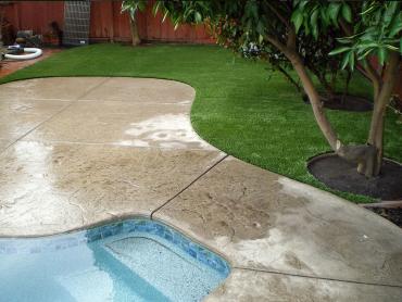 Artificial Grass Photos: Synthetic Turf Fife Heights, Washington Rooftop, Beautiful Backyards