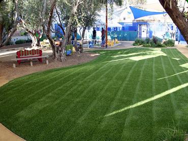 Artificial Grass Photos: Synthetic Turf Gleed, Washington Backyard Playground, Commercial Landscape