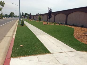 Synthetic Turf Marrowstone, Washington Landscaping, Commercial Landscape artificial grass