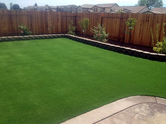 Artificial Grass Photos: Synthetic Turf Mercer Island, Washington Gardeners, Backyard