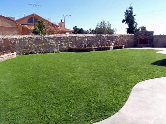 Artificial Grass Photos: Synthetic Turf Mukilteo, Washington Lawns, Backyard Landscaping Ideas