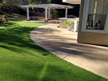 Artificial Grass Photos: Synthetic Turf North Sultan, Washington Lawn And Landscape, Landscaping Ideas For Front Yard
