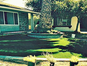 Artificial Grass Photos: Synthetic Turf Pe Ell, Washington Landscaping Business, Front Yard Ideas