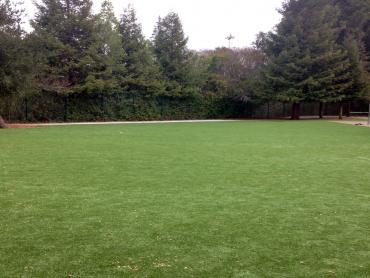 Artificial Grass Photos: Synthetic Turf Point Roberts, Washington Roof Top, Parks