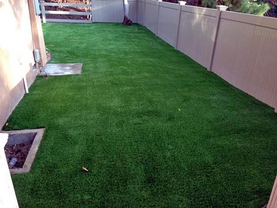 Synthetic Turf Ravensdale, Washington Grass For Dogs, Backyard Ideas artificial grass