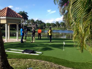 Artificial Grass Photos: Synthetic Turf Sammamish, Washington Home Putting Green, Backyard Design