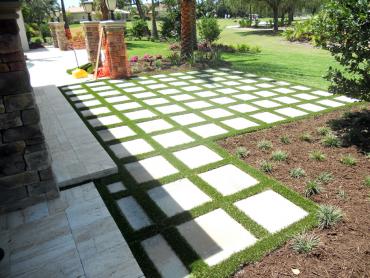 Artificial Grass Photos: Synthetic Turf Satsop, Washington Paver Patio, Backyard Landscaping