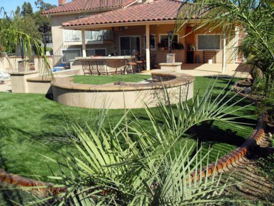 Artificial Grass Photos: Synthetic Turf Sisco Heights, Washington Home And Garden, Backyard Ideas