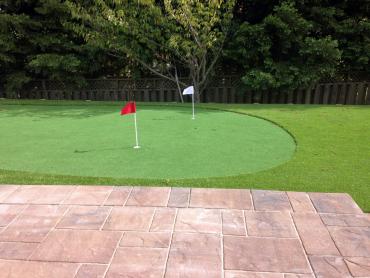 Artificial Grass Photos: Synthetic Turf Soap Lake, Washington Backyard Putting Green, Backyard Landscaping