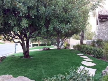 Artificial Grass Photos: Synthetic Turf Supplier Ashford, Washington Landscaping Business, Landscaping Ideas For Front Yard