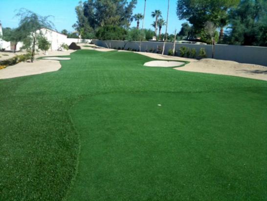 Artificial Grass Photos: Synthetic Turf Supplier Boulevard Park, Washington Putting Green Turf