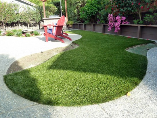 Artificial Grass Photos: Synthetic Turf Supplier Carlsborg, Washington Lawns, Small Backyard Ideas