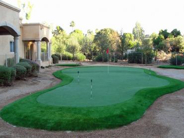 Artificial Grass Photos: Synthetic Turf Supplier Chehalis Village, Washington Golf Green, Backyard Landscaping