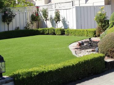 Artificial Grass Photos: Synthetic Turf Supplier Malott, Washington Paver Patio, Front Yard