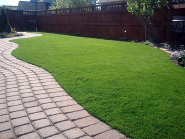 Artificial Grass Photos: Synthetic Turf Supplier Mill Creek, Washington Gardeners, Backyard Garden Ideas