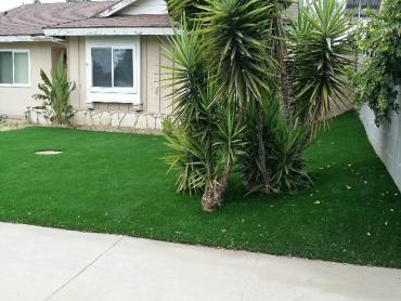 Artificial Grass Photos: Synthetic Turf Supplier Moxee City, Washington Landscape Design, Front Yard Design