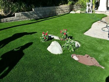 Artificial Grass Photos: Synthetic Turf Supplier Naselle, Washington Lawns, Front Yard