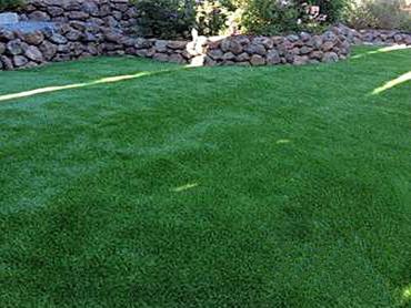 Artificial Grass Photos: Synthetic Turf Supplier Nile, Washington Pictures Of Dogs, Backyard Makeover