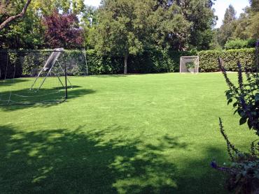 Artificial Grass Photos: Synthetic Turf Supplier Port Hadlock-Irondale, Washington Lawns, Backyard Landscape Ideas