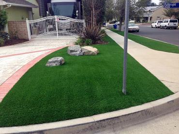 Artificial Grass Photos: Synthetic Turf Supplier Porter, Washington Design Ideas, Front Yard