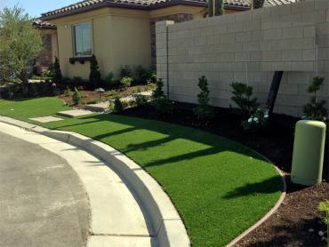 Artificial Grass Photos: Synthetic Turf Supplier Salmon Creek, Washington Landscape Design, Front Yard