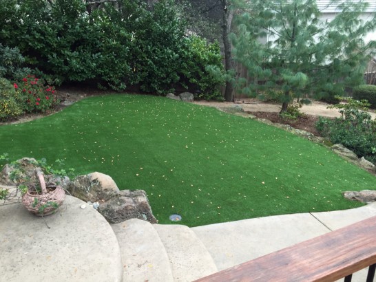Artificial Grass Photos: Synthetic Turf Supplier Sequim, Washington Gardeners, Backyard Design