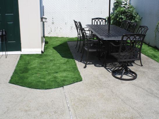 Artificial Grass Photos: Synthetic Turf Supplier Wishram, Washington Paver Patio, Backyard Landscaping