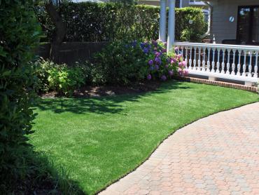 Artificial Grass Photos: Synthetic Turf Union Hill-Novelty Hill, Washington Backyard Deck Ideas, Front Yard Design